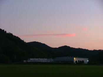 yuhi1.jpg