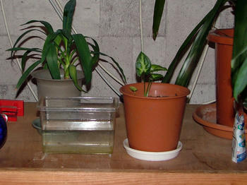 DSCF2021.jpg