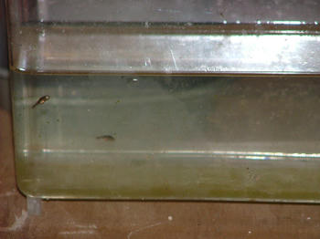 DSCF2023.jpg