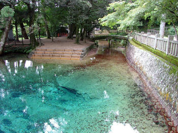 DSCF2034a.jpg