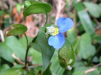1DSCF2106.jpg