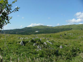 aDSCF2154.jpg