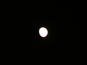 DSCF2230.jpg
