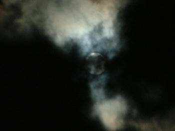 15DSCF2250.jpg