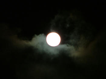 15DSCF2261.jpg