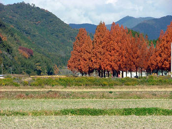 2DSCF2404.jpg