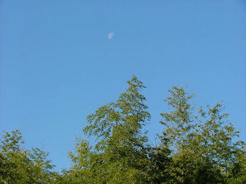 1DSCF2414.jpg