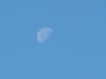 1DSCF2415.jpg