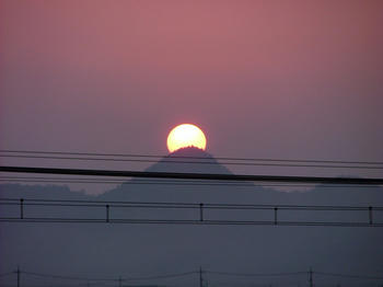 1DSCF2454.jpg