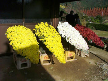 2DSCF2419.jpg