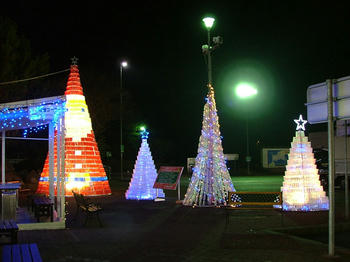 1DSCF2497.jpg