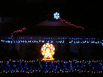 1DSCF2506.jpg