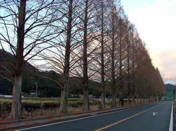 1DSCF2529.jpg