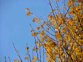 5DSCF2469.jpg