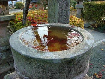 5DSCF2470.jpg