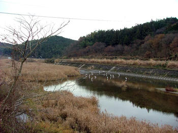 1DSCF2541.jpg