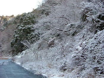 DSCF2658-y.jpg
