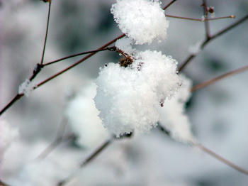 DSCF2663-X.jpg