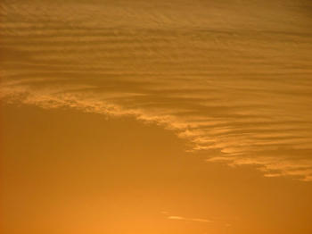 1DSCF2684.jpg