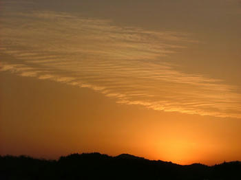 1DSCF2701.jpg