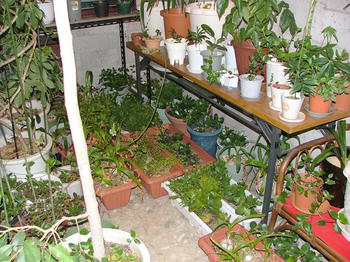 1DSCF2716.jpg
