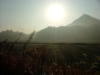 1DSCF2717.jpg
