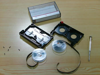 1DSCF3528.jpg