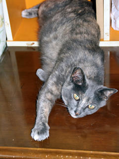 mimi-2.jpg
