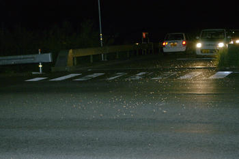 2IMG_1104.jpg