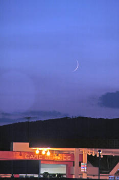 1IMG_1124.jpg