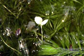 1IMG_1127.jpg