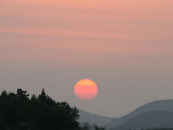 yuhi-2.jpg