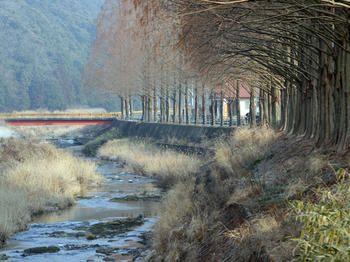 1IMG_1862.jpg