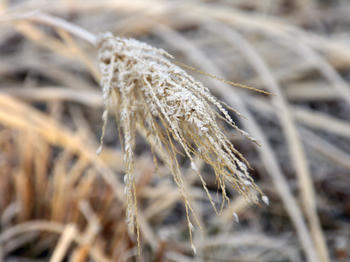 1IMG_1870.jpg