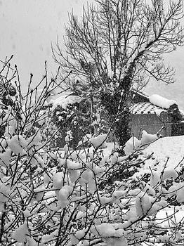 1IMG_1898.jpg