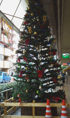 BigXmastree2