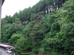 DSCF1125.JPG