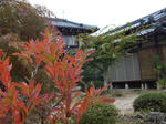 DSCF1365.JPG
