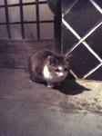 090309.jpg