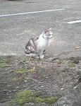 20090315no1.jpg