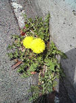 2009.0408.jpg