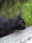 090629.jpg