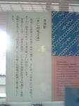 Image415.jpg
