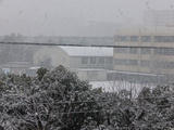 080203a.jpg