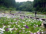 080620a.jpg