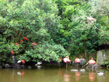 080620b.jpg