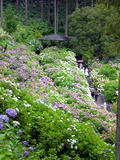 080620c.jpg