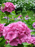 080620e.jpg