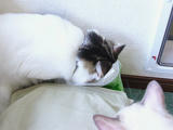0809_004.JPG