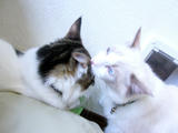 0809_005.JPG
